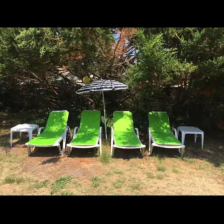 Dans Jolie Jardin